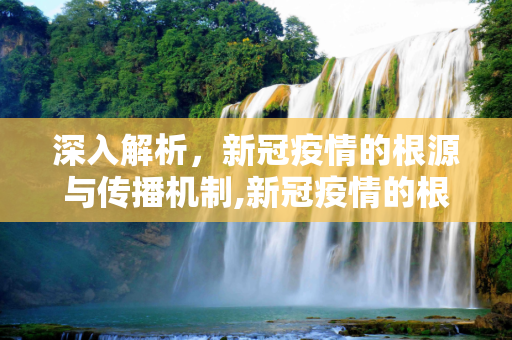 深入解析，新冠疫情的根源与传播机制,新冠疫情的根源及传播机制解析