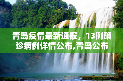 青岛疫情最新通报，13例确诊病例详情公布,青岛公布13例确诊病例详情