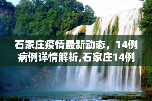石家庄疫情最新动态，14例病例详情解析,石家庄14例病例详情