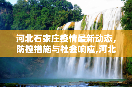 河北石家庄疫情最新动态，防控措施与社会响应,河北石家庄疫情最新消息