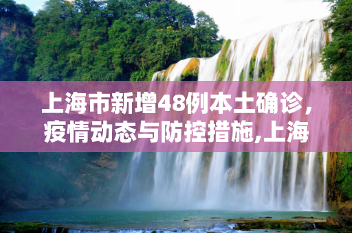 上海市新增48例本土确诊，疫情动态与防控措施,上海市新增48例本土确诊的简单介绍