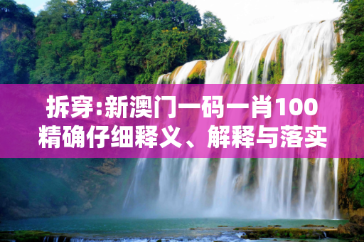 拆穿:新澳门一码一肖100精确仔细释义、解释与落实