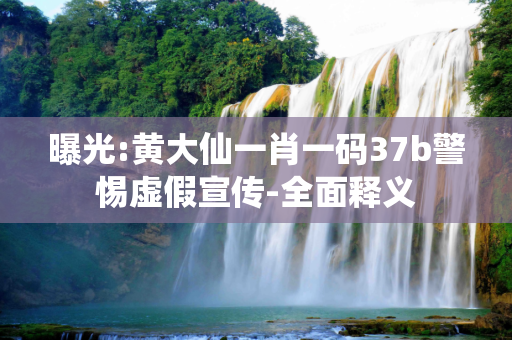 曝光:黄大仙一肖一码37b警惕虚假宣传-全面释义