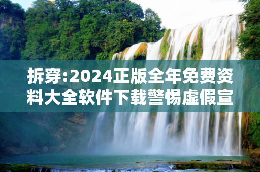 拆穿:2024正版全年免费资料大全软件下载警惕虚假宣传、全面解答与解释