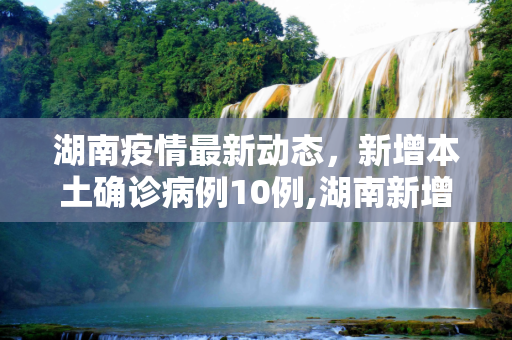 湖南疫情最新动态，新增本土确诊病例10例,湖南新增本土确诊病例10例