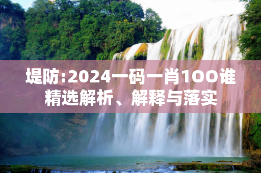堤防:2024一码一肖1OO谁精选解析、解释与落实