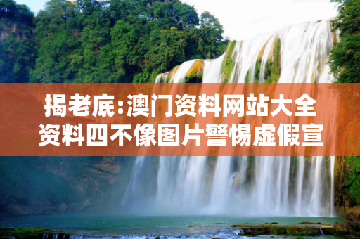 揭老底:澳门资料网站大全资料四不像图片警惕虚假宣传-全面释义