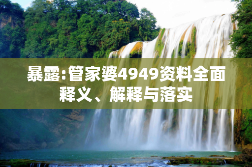 暴露:管家婆4949资料全面释义、解释与落实