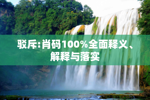 驳斥:肖码100%全面释义、解释与落实