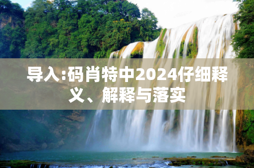 导入:码肖特中2024仔细释义、解释与落实
