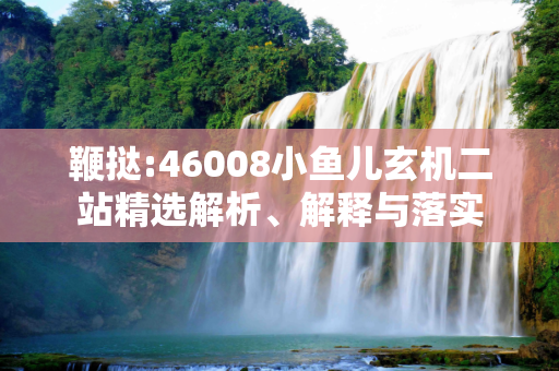 鞭挞:46008小鱼儿玄机二站精选解析、解释与落实