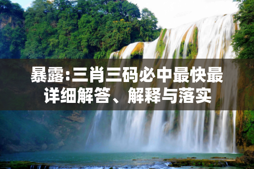 暴露:三肖三码必中最快最详细解答、解释与落实