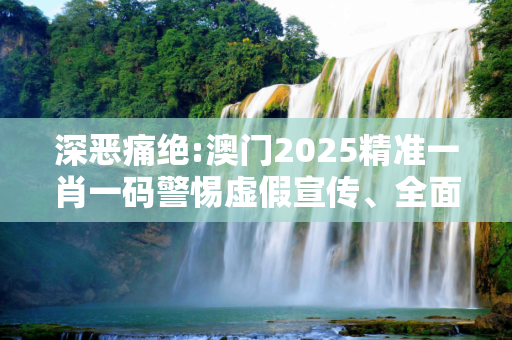 深恶痛绝:澳门2025精准一肖一码警惕虚假宣传、全面解答与解释