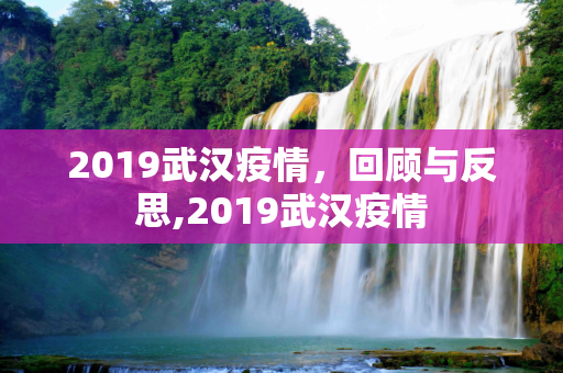 2019武汉疫情，回顾与反思,2019武汉疫情