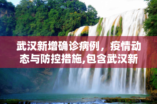 武汉新增确诊病例，疫情动态与防控措施,包含武汉新增确诊的词条