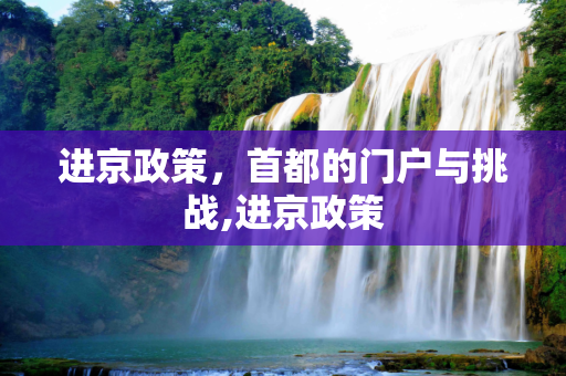进京政策，首都的门户与挑战,进京政策